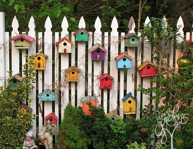 bird-houses.jpg