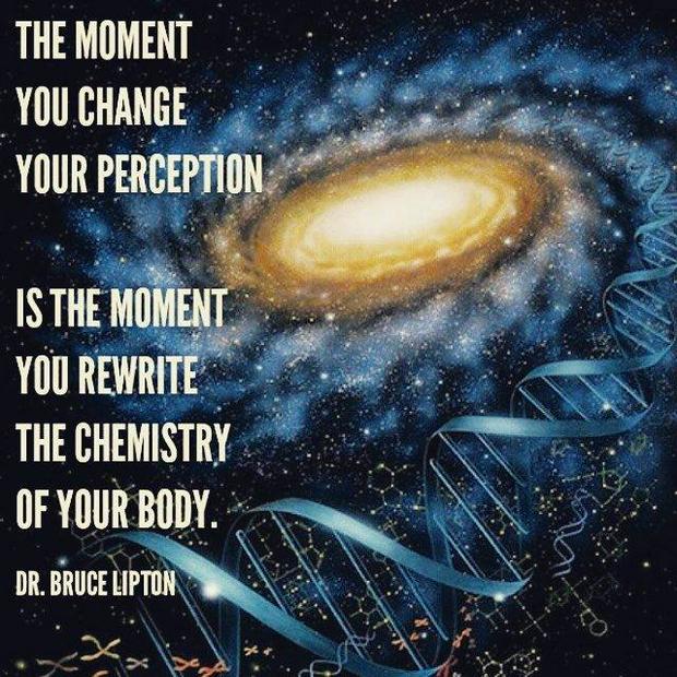 The-moment-you-change-your-perception-you-rewrite-the-chemistry-of-your-bodyIS.jpg