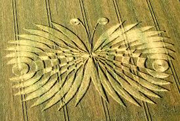 butterfly-crop-circle.jpg