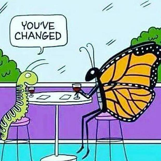 you-have-changed-catterpillar-butterfly.jpg