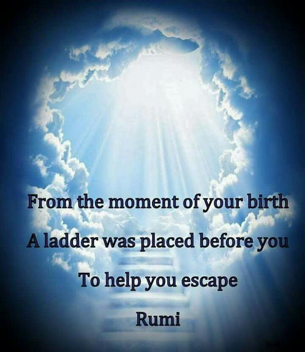 from-the-moment-of-your-birth-ladder-Rumi-IS.jpg