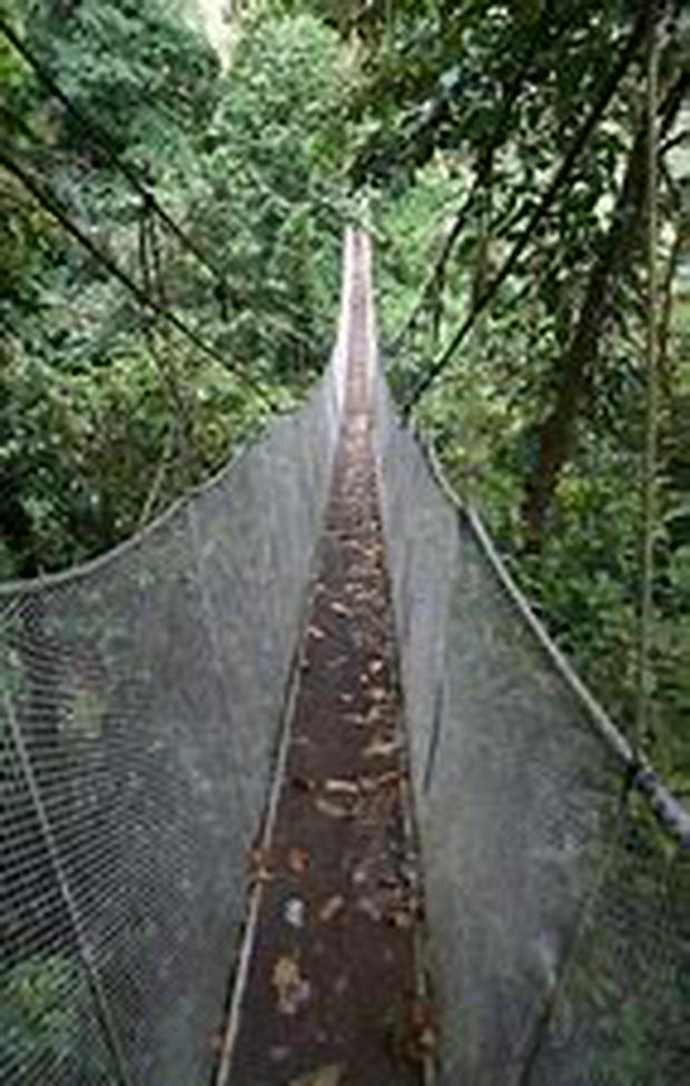 aerial-walkway.jpg