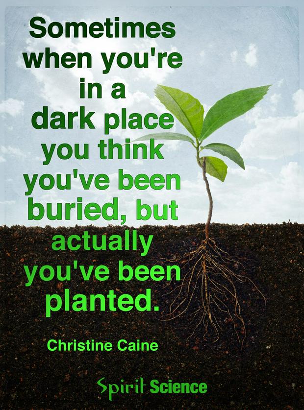 dark-place...planted-IS.jpg