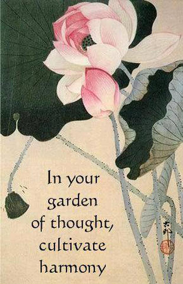 in-your-garden-of-thought-cultivate-harmony.jpg