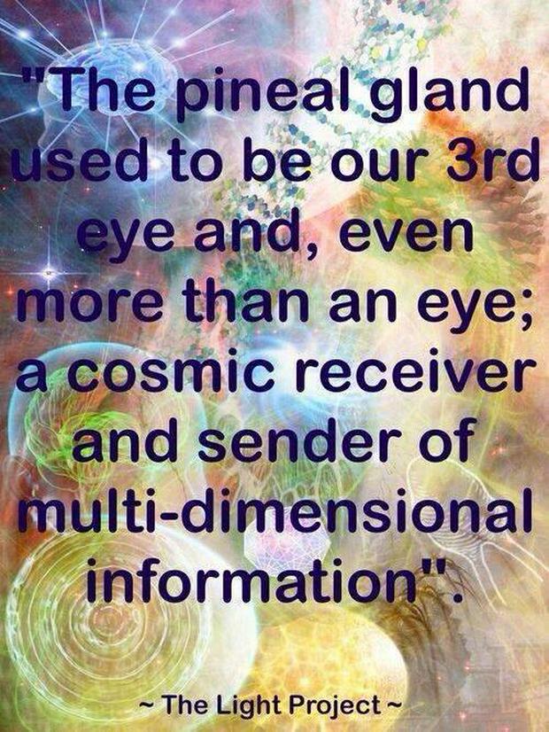 the-pineal-gland-used-to-be-our-third-eyeIS.jpg