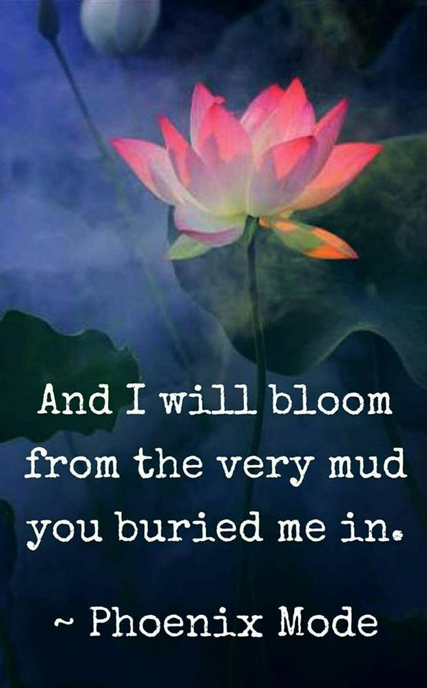 I-will-bloom-from-the-very-mud-you-buried-me-in.jpg