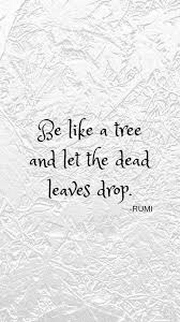 be-like-a-tree-and-let-the-dead-leaves-drop-IS.jpg