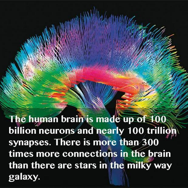 human-brain-neurons-synapses-galaxy.jpg