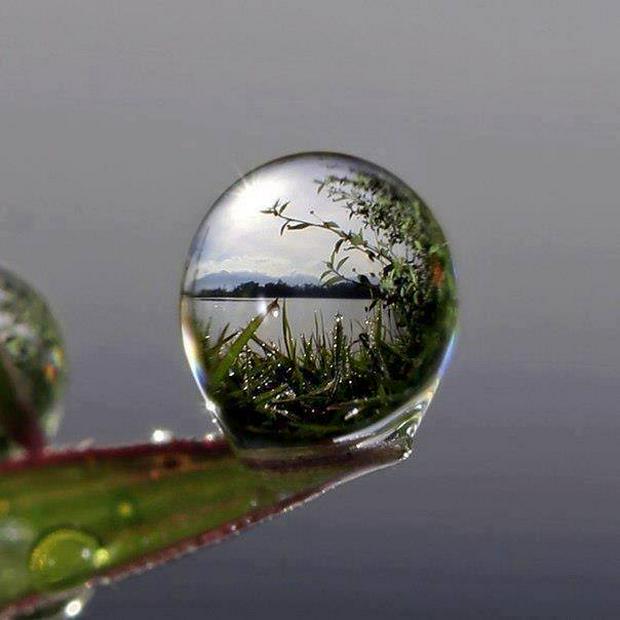 nature-in-a-drop.jpg